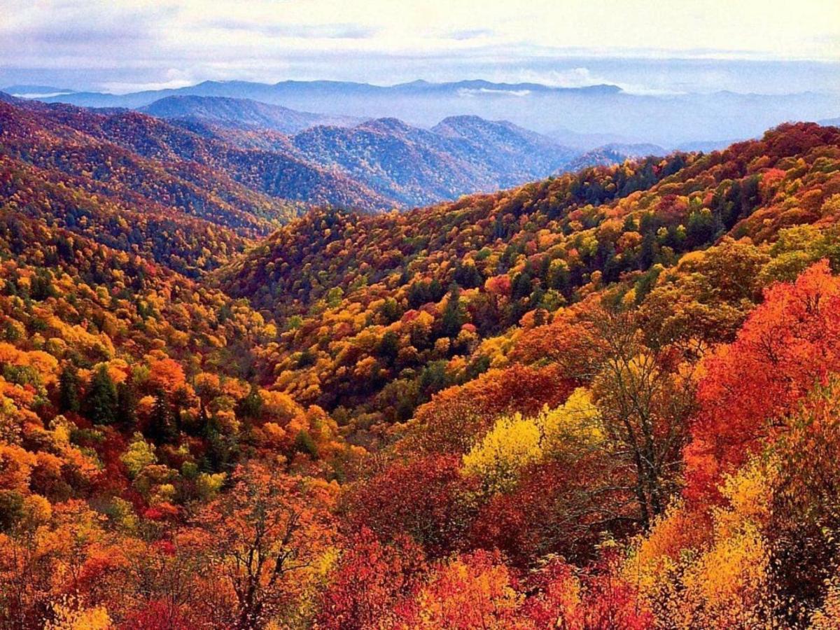 Wow Views!!-Mountain Escape-Outdoor Pool-Close To Downtown-Wifi-Cable-Private Balcony Гетлинбург Екстериор снимка