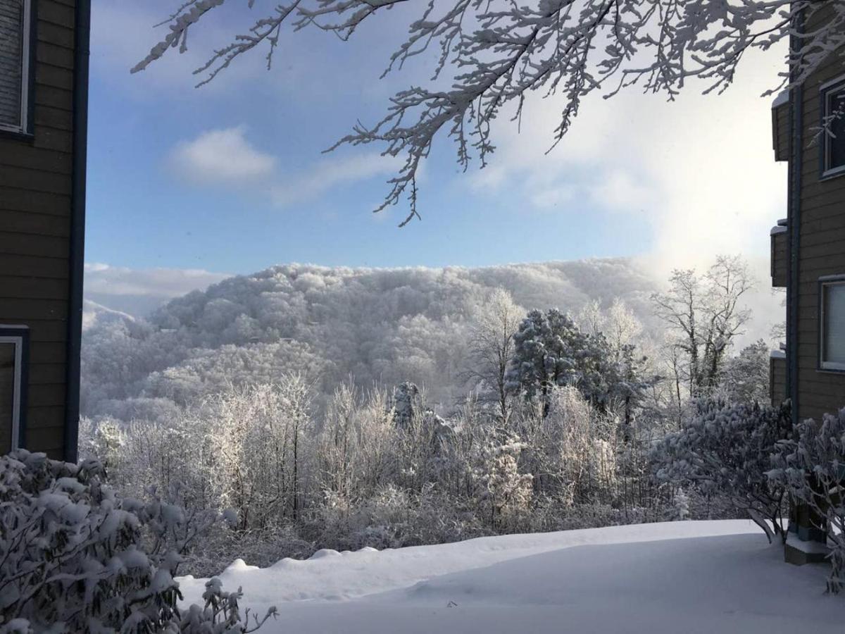 Wow Views!!-Mountain Escape-Outdoor Pool-Close To Downtown-Wifi-Cable-Private Balcony Гетлинбург Екстериор снимка